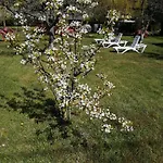Accommodatie bij particulieren Willa Wiselka *