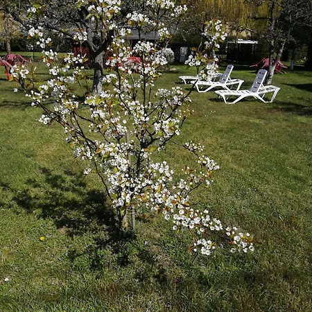 Accommodatie bij particulieren Willa Wiselka *