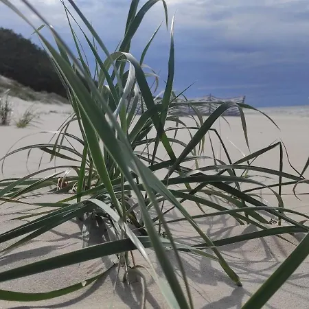 홈스테이 Willa Wiselka Wisełka