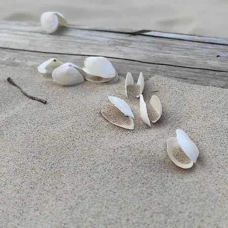 Willa Wiselka * Wisełka