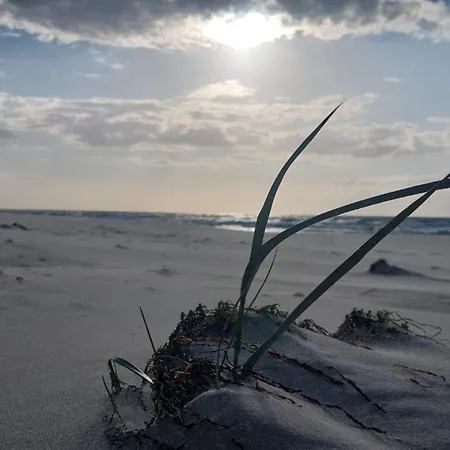 Willa Wiselka 홈스테이 *