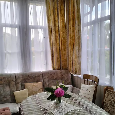 Проживание в семье Willa Wiselka *