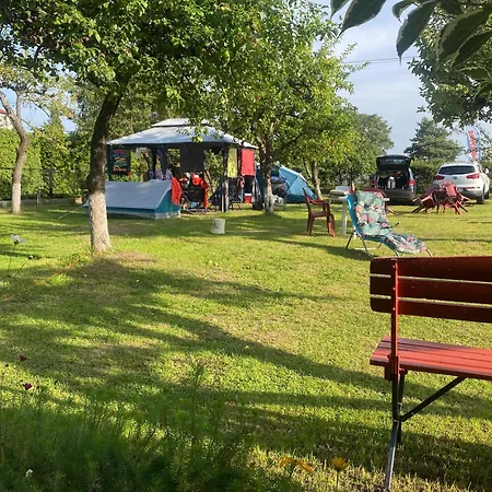 Проживание в семье Willa Wiselka