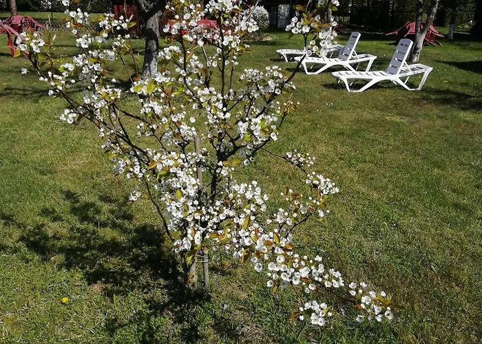 ホームステイ Willa Wiselka *