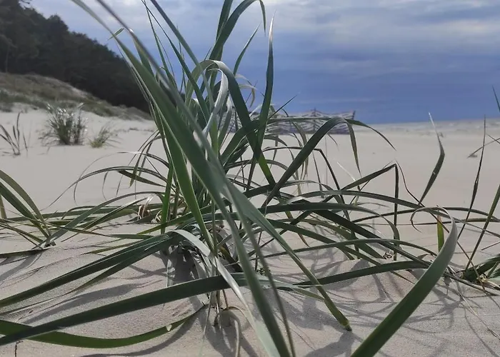 Проживание в семье Willa Wiselka Виселка