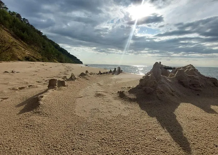 Проживание в семье Willa Wiselka