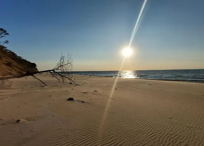 ホームステイ Willa Wiselka *