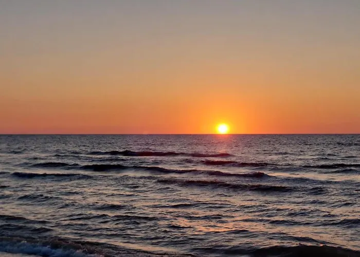 Проживание в семье Willa Wiselka *