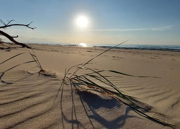 Willa Wiselka Проживание в семье Виселка