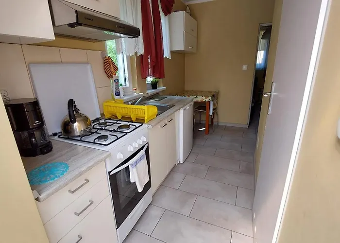 Проживание в семье Willa Wiselka *