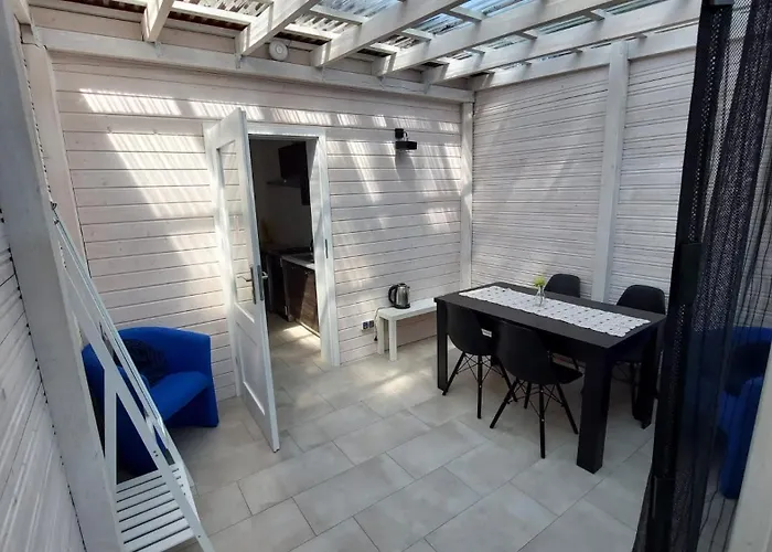 Проживание в семье Willa Wiselka