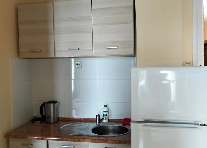 Willa Wiselka Проживание в семье *