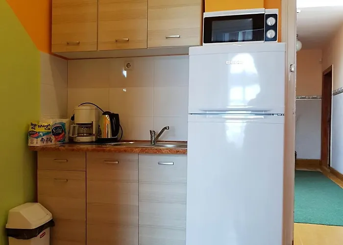 ホームステイ Willa Wiselka *