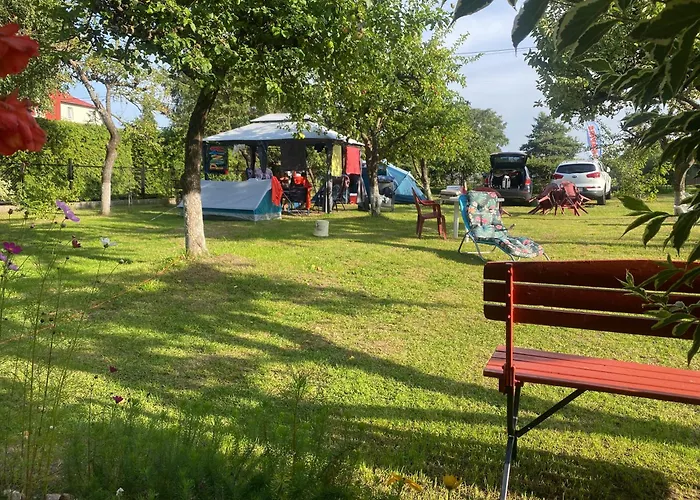 Проживание в семье Willa Wiselka