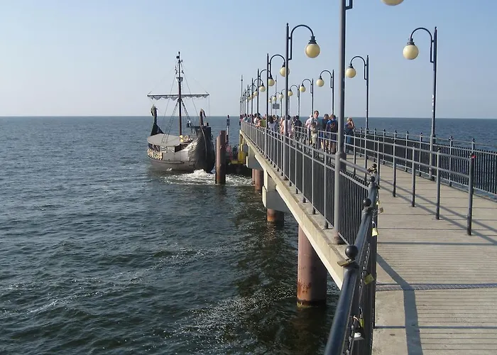 Проживание в семье Willa Wiselka