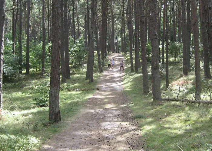 Проживание в семье Willa Wiselka