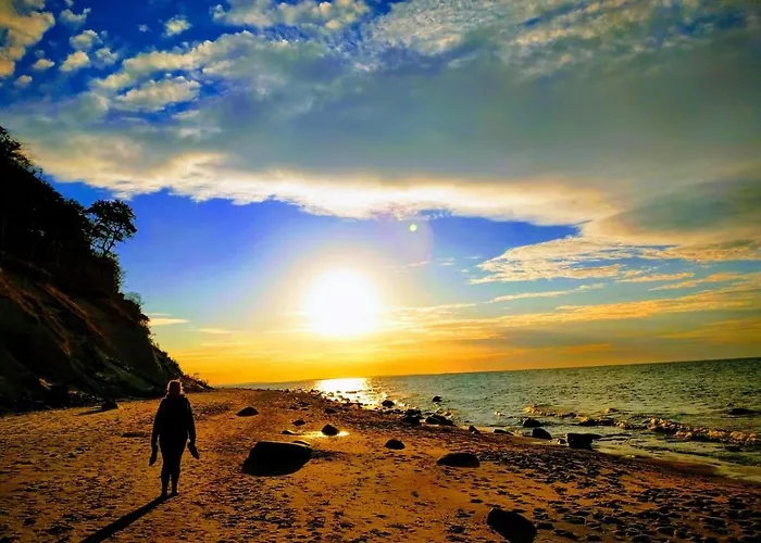 ホームステイ Willa Wiselka *